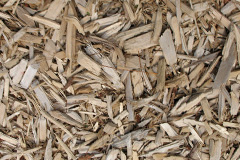 biomass boilers Llangurig